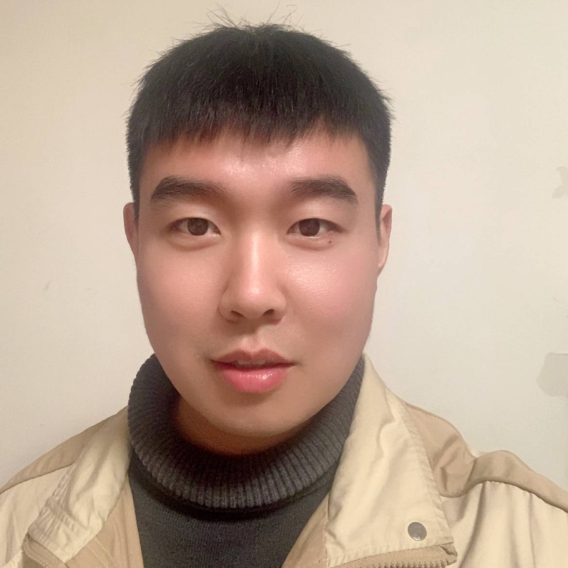 狐狸的照片
