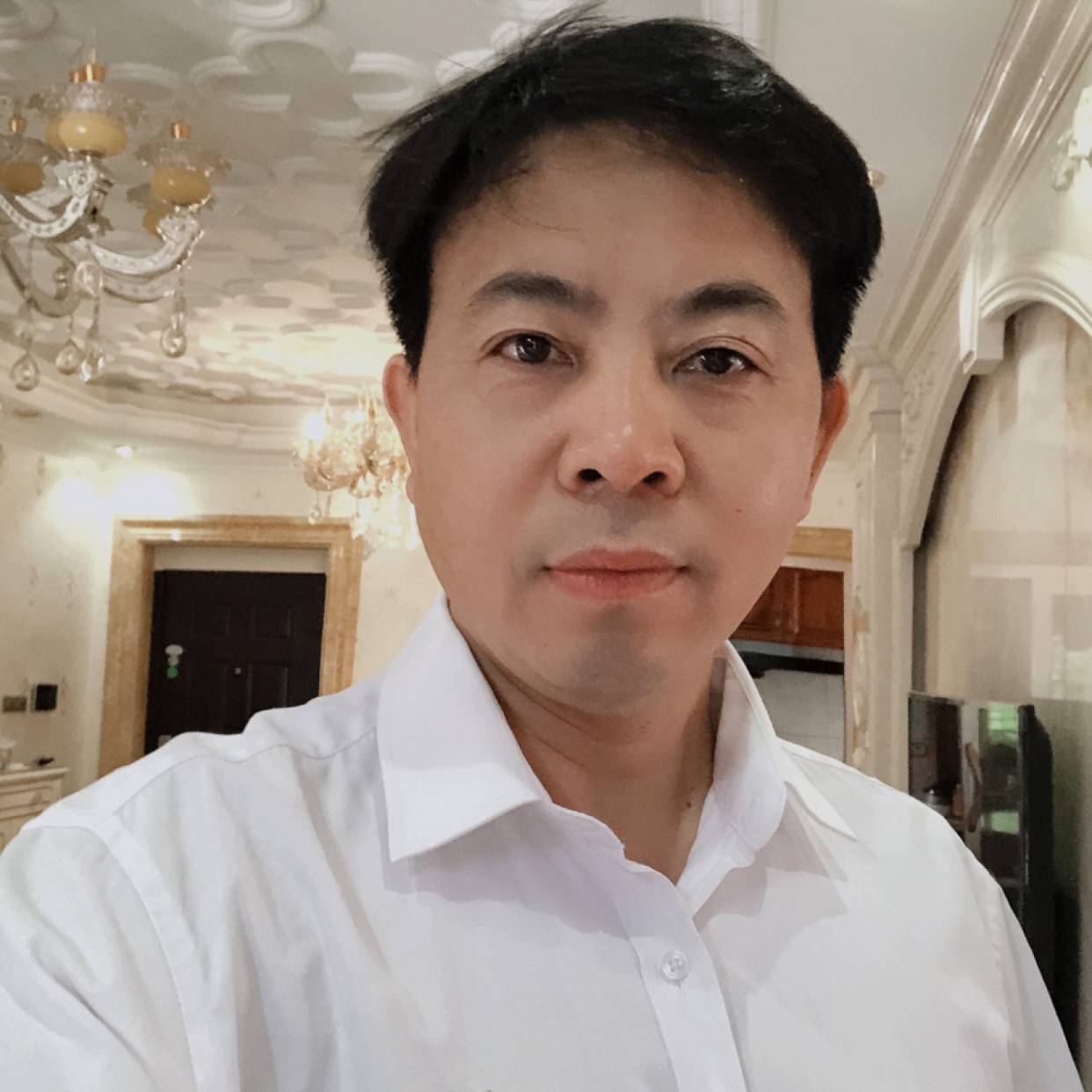 黄蜂多么斯文的照片