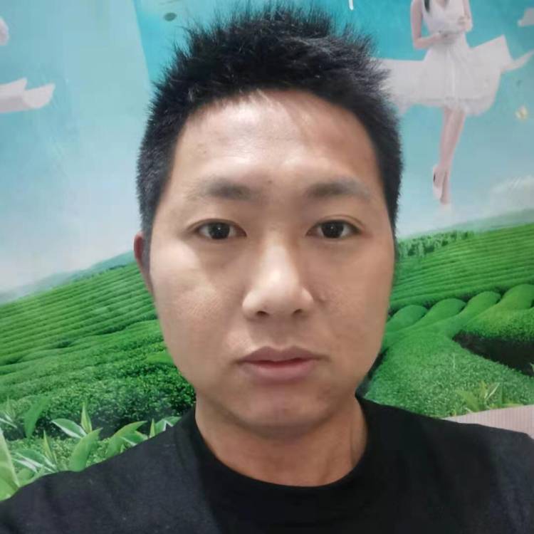 需要港湾停靠的照片