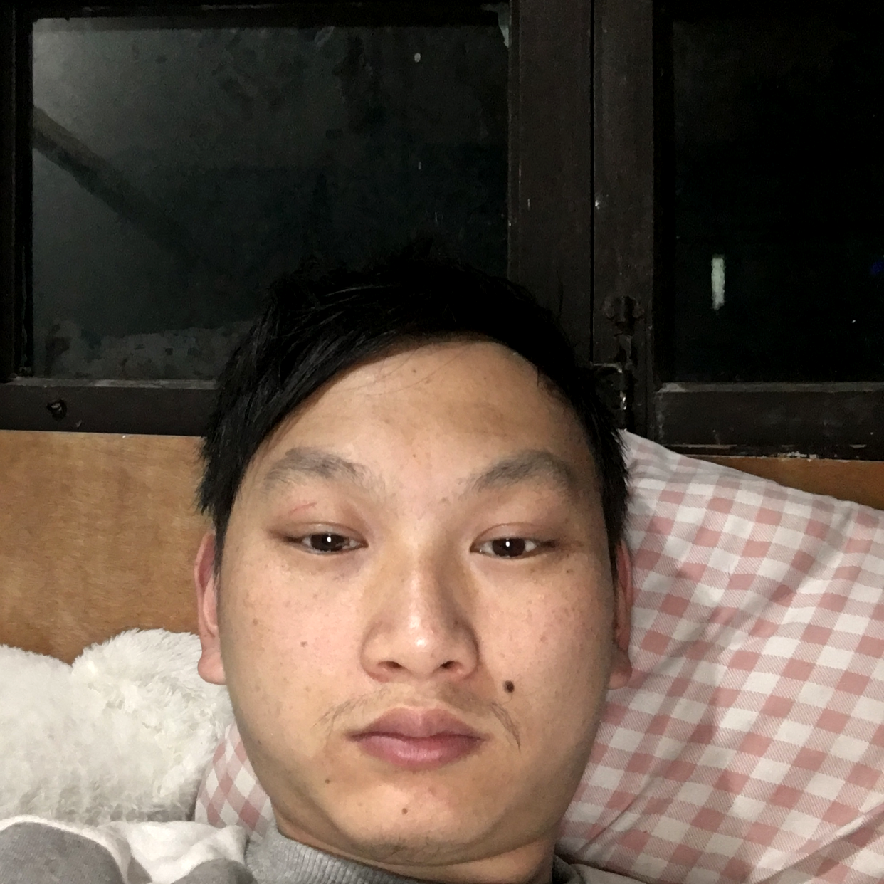 暖阳浅吻自然的照片