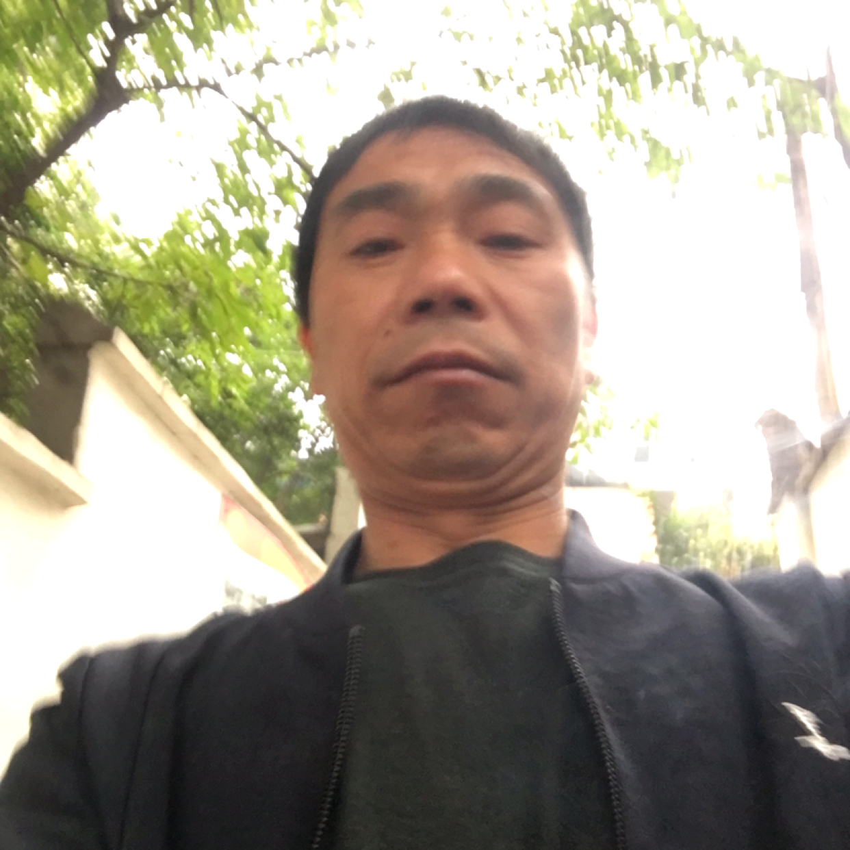 枫叶相许老迟到的照片