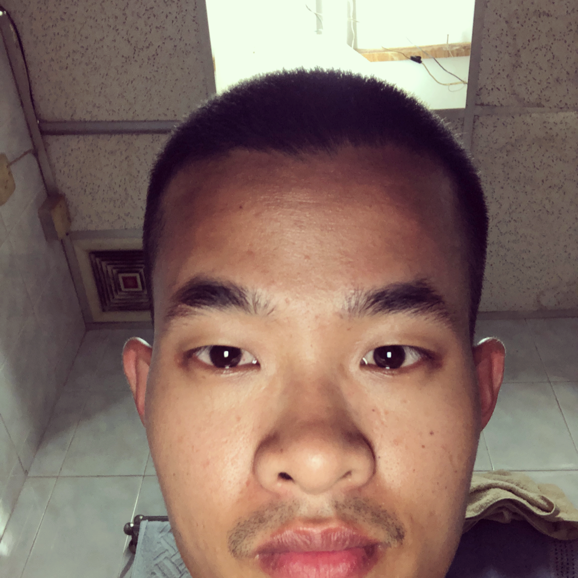 鸵鸟回眸眼睛大的照片