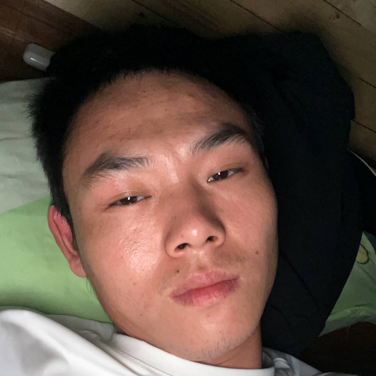 仙人掌与感性的照片