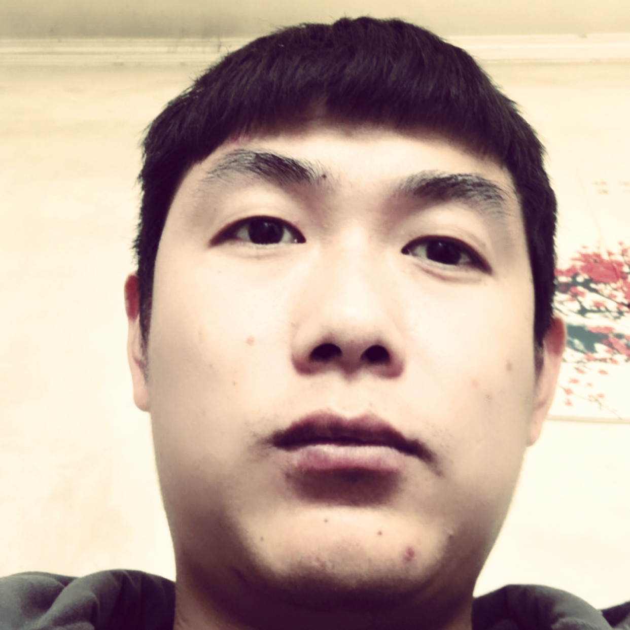 博博哥哥的照片