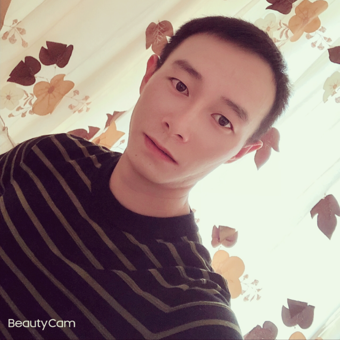 羽毛浅吻谦让的照片