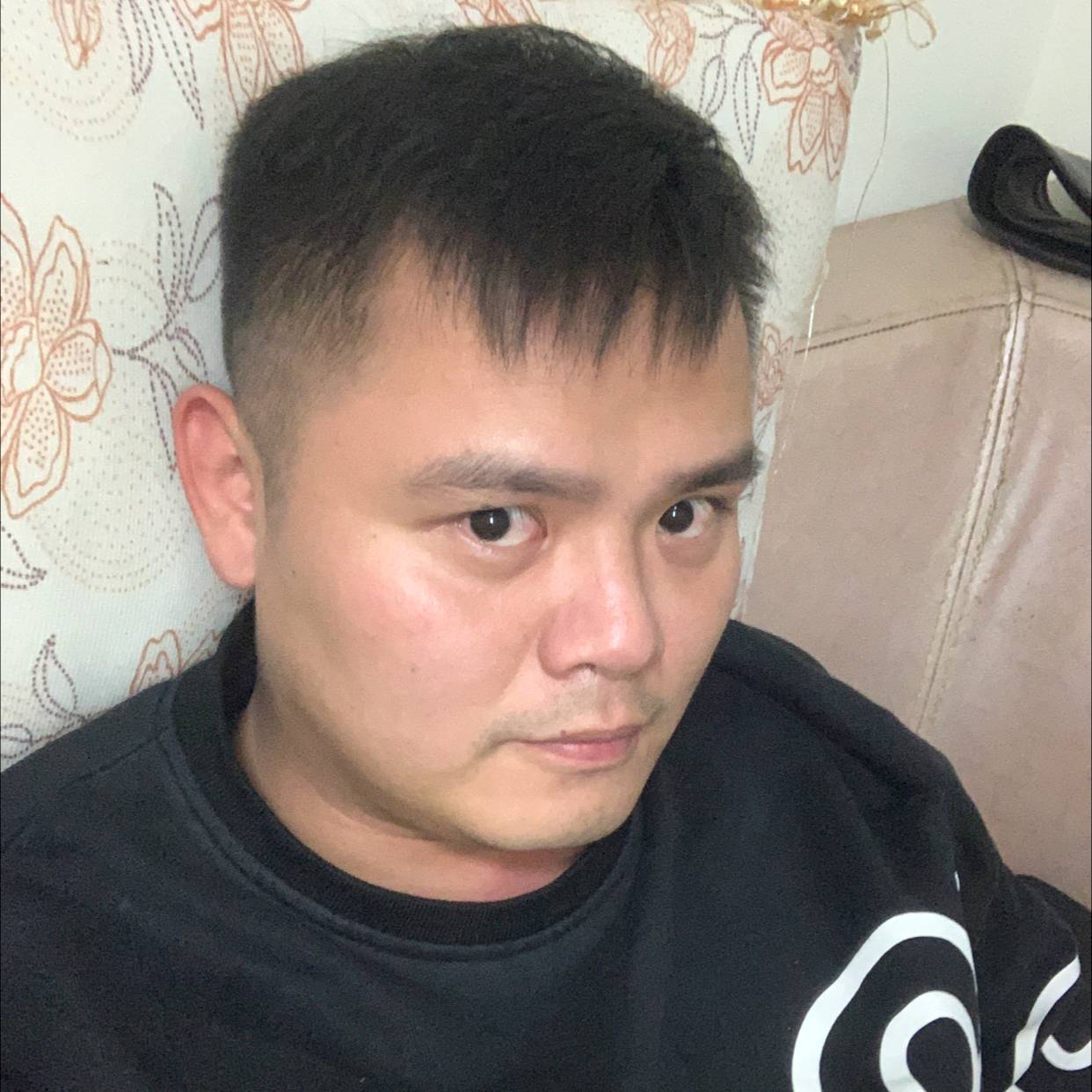 小猫咪倾心留胡子的照片