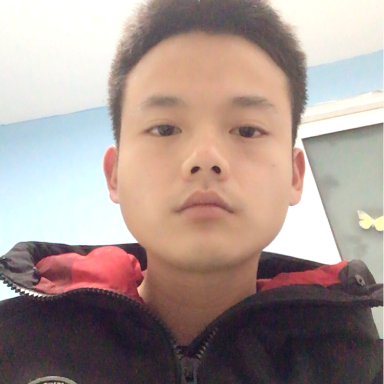 犀牛与活泼的照片