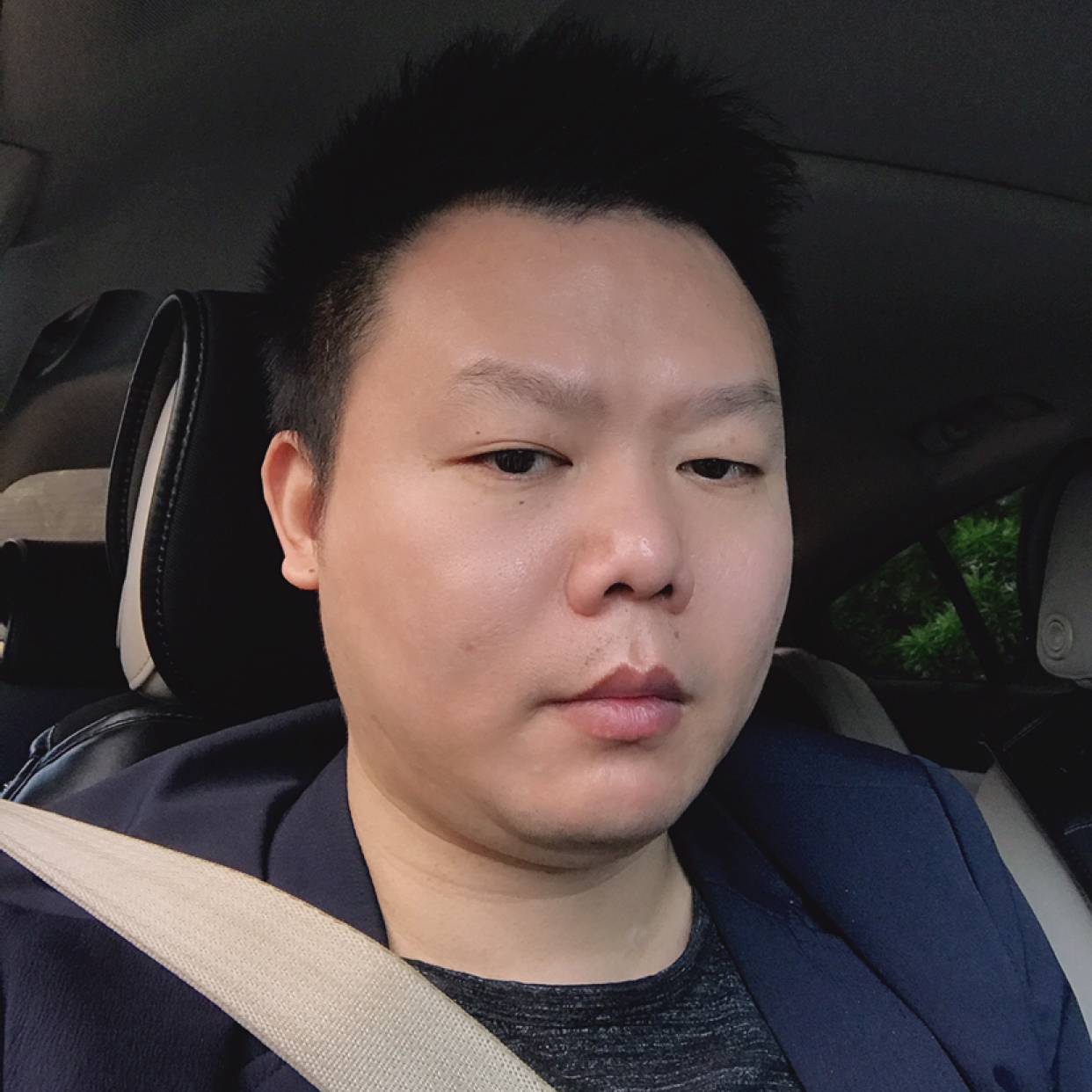 羽毛深拥迷路的照片