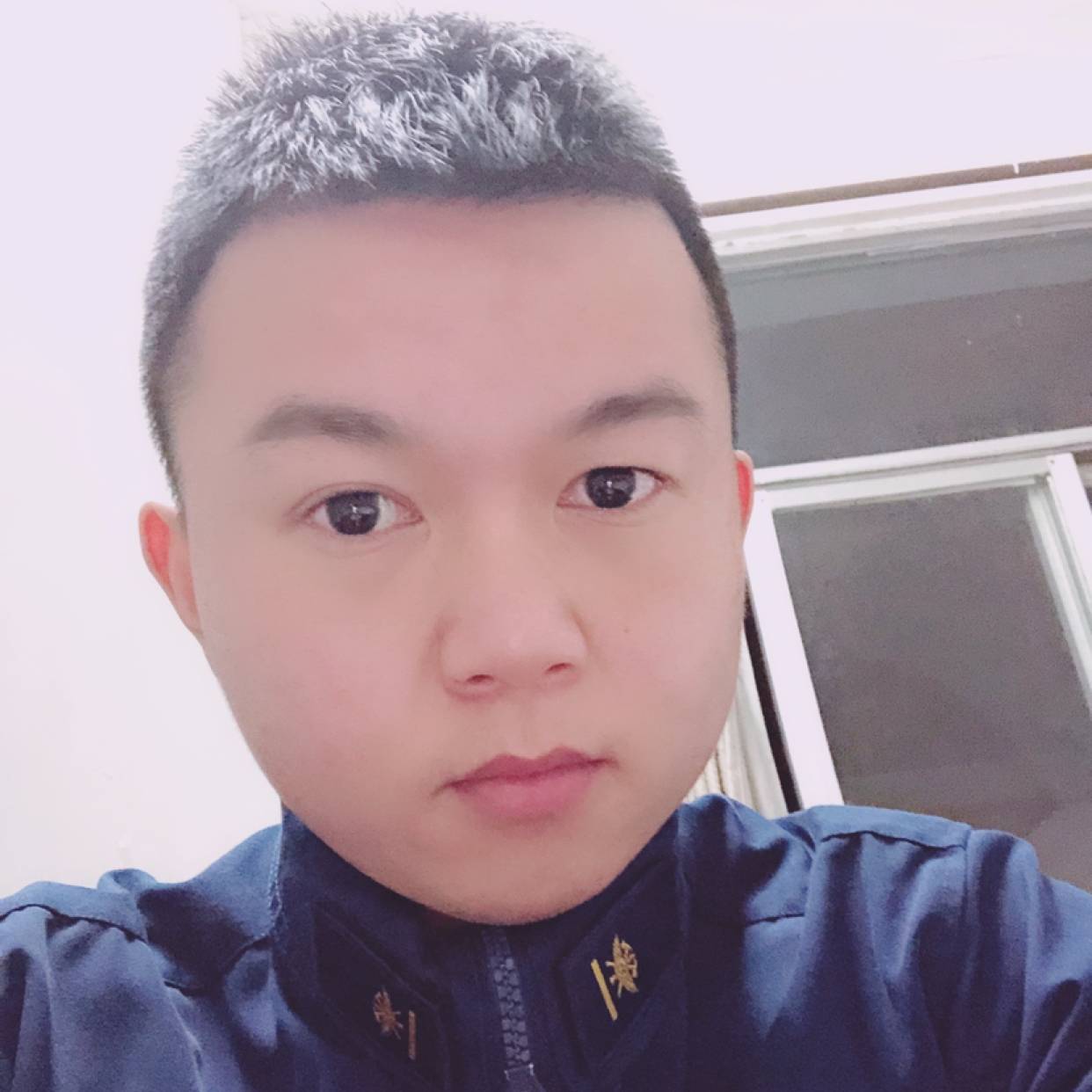 the bin的照片