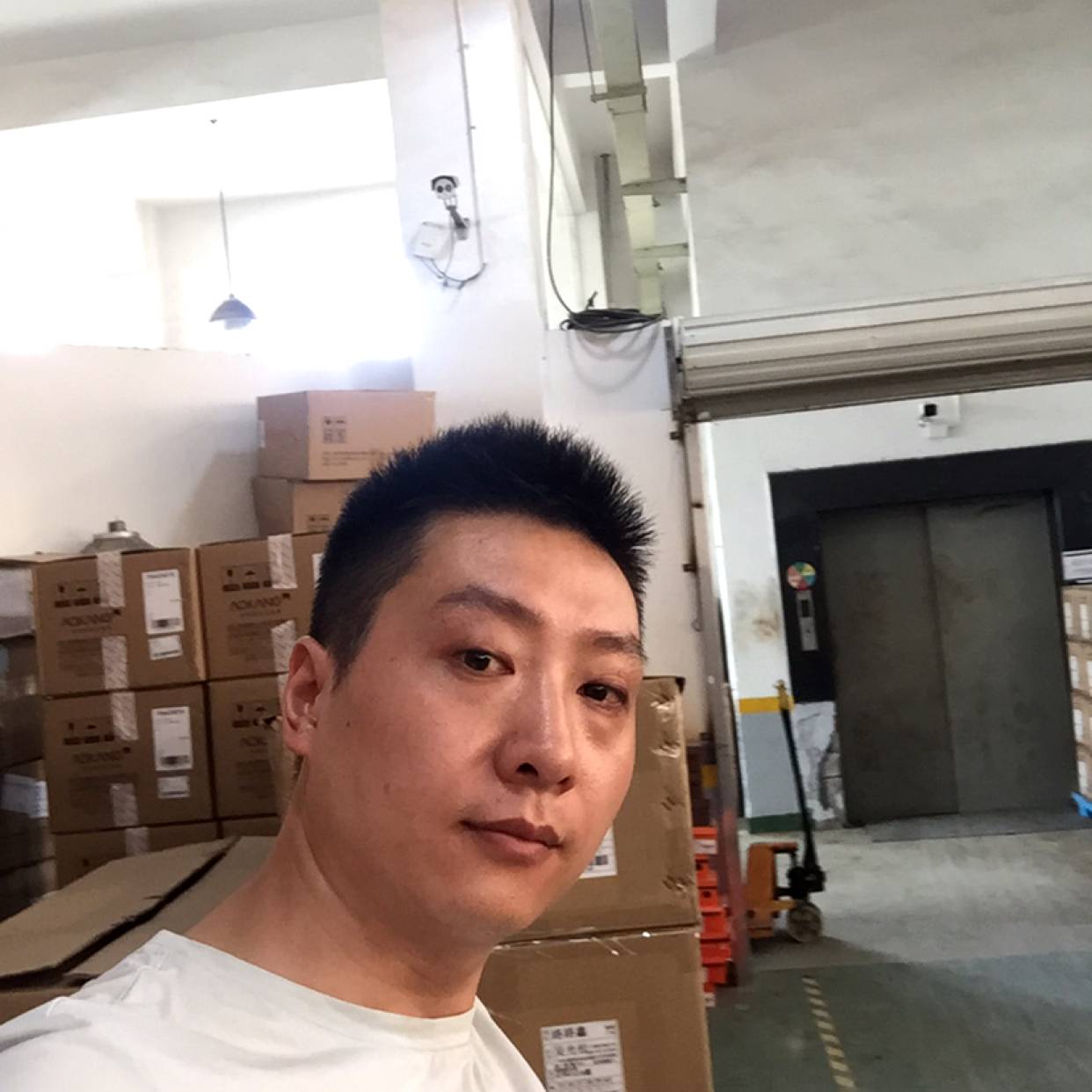 烂漫請高山的照片