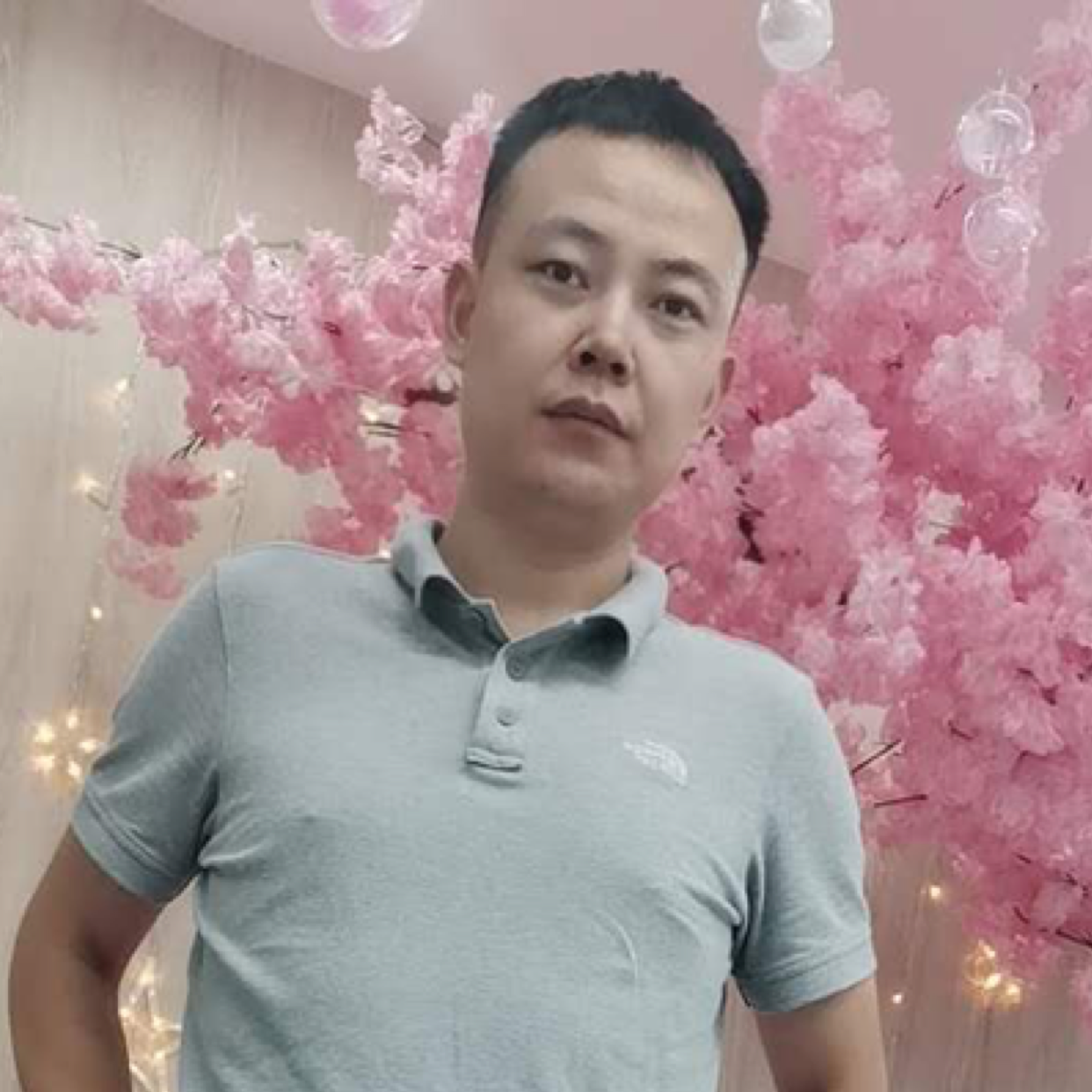 起飞的小鸟的照片