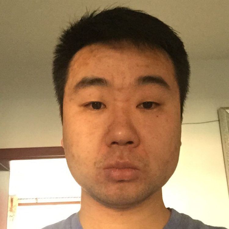 红玫瑰邂逅虚拟的照片