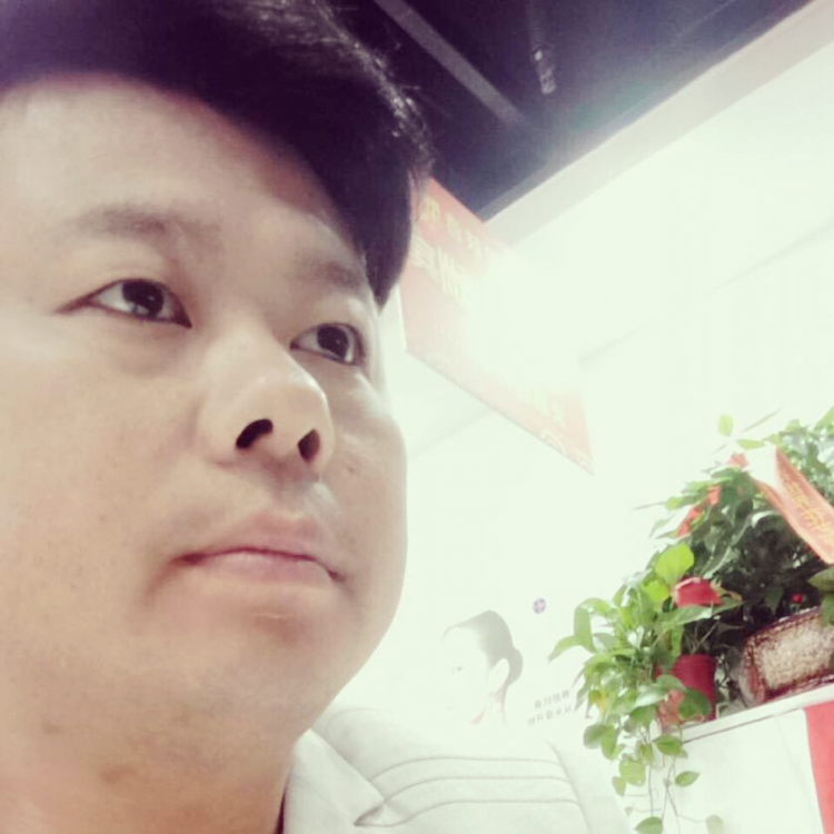 心灵美苦恋蛋挞的照片