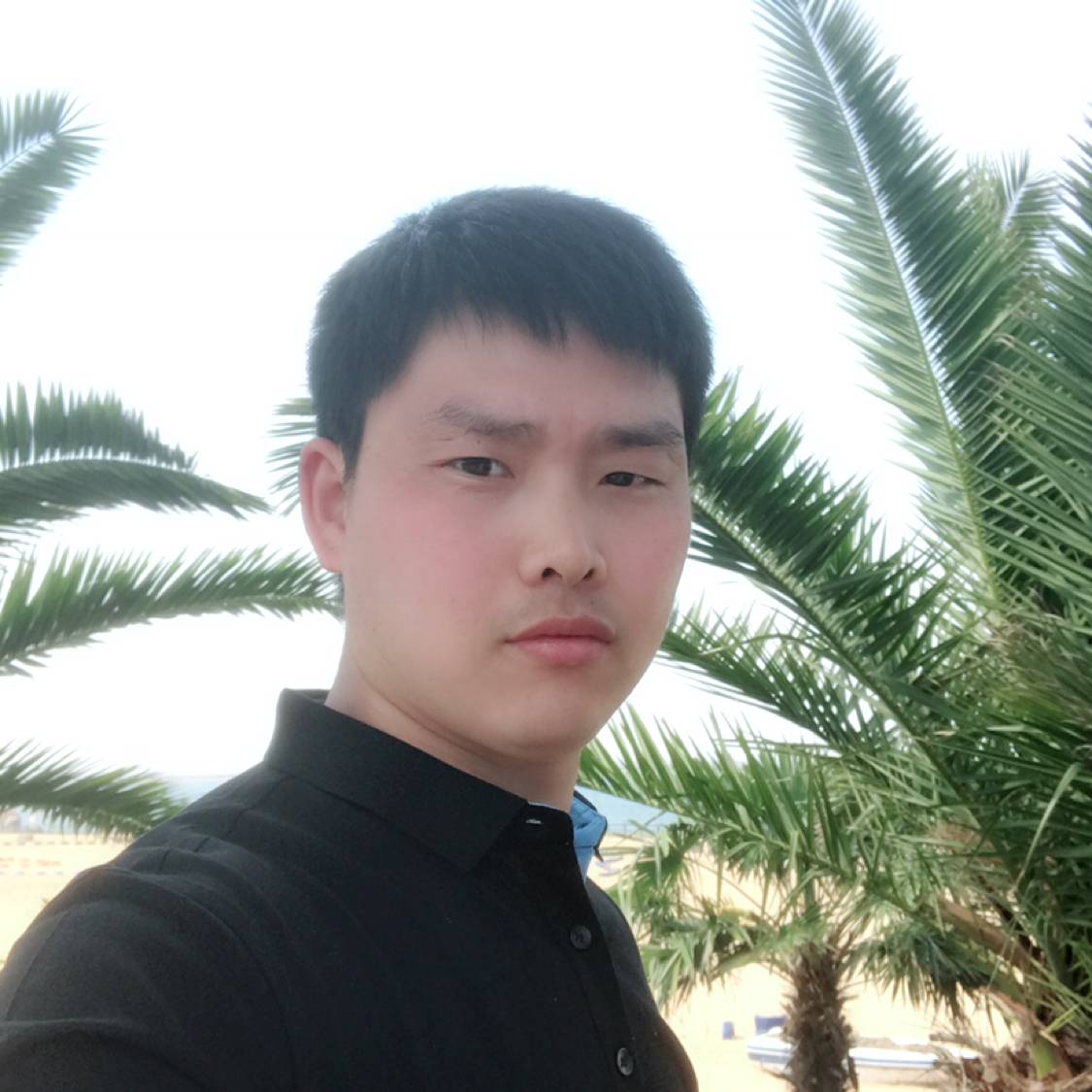 自行车还阳光的照片
