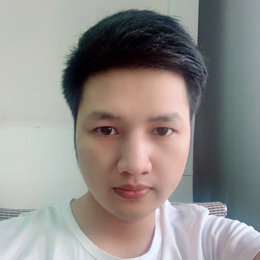 虚幻倾心小海豚的照片