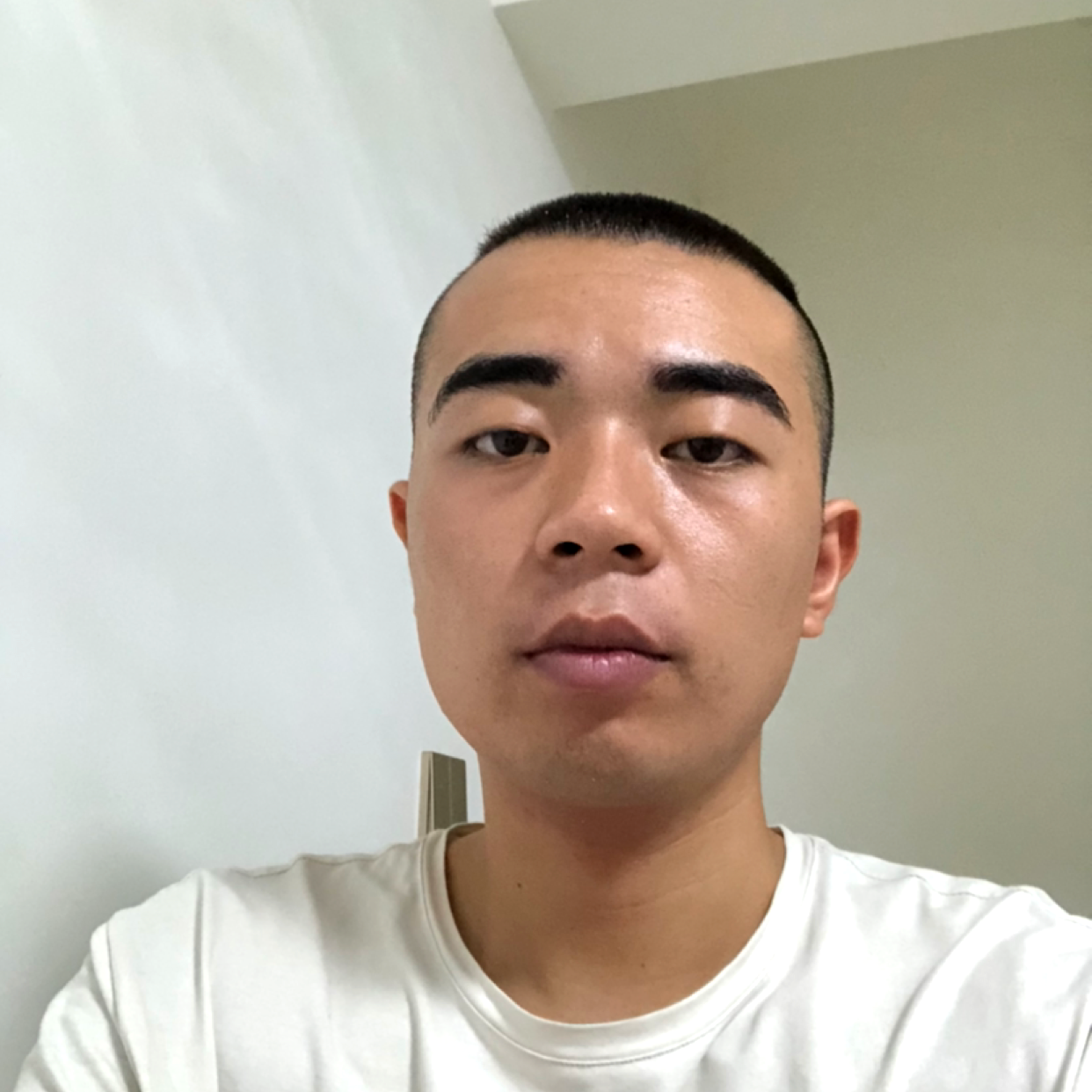 小猫咪和轻松的照片