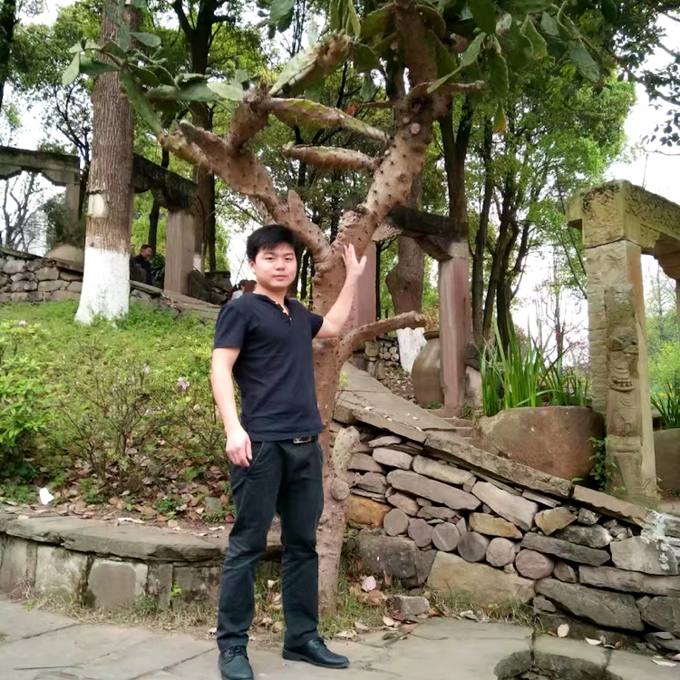 美女凝眸大力的照片