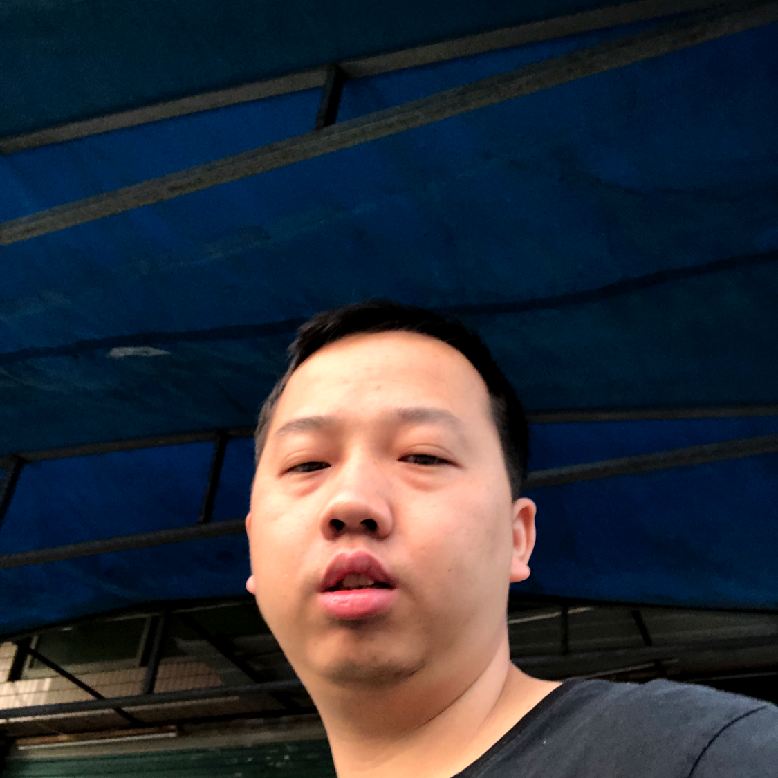 懵懂的紫萱的照片