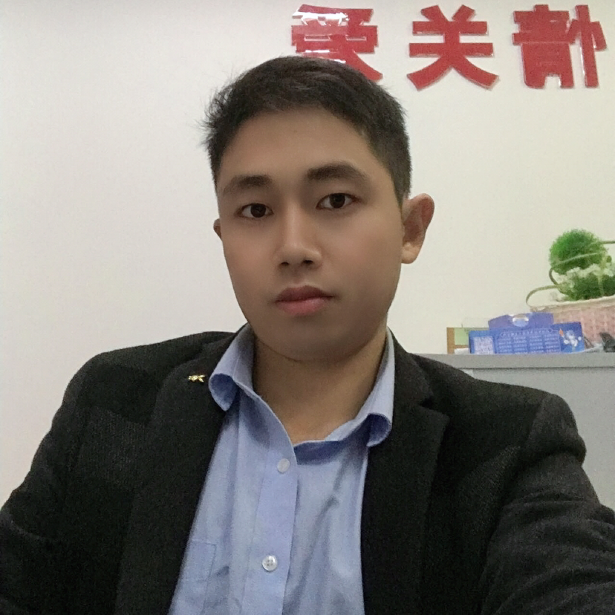 树叶温暖的照片