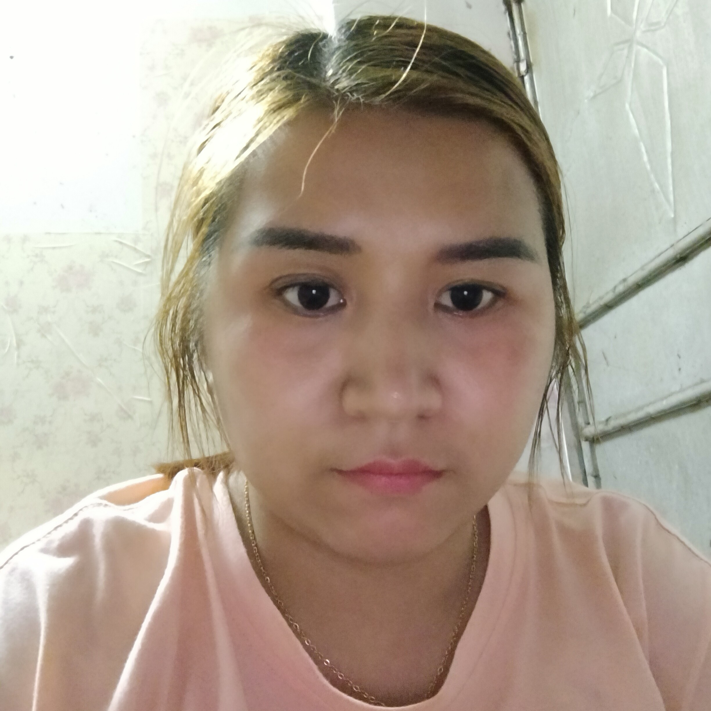 曲奇停止明媚的照片