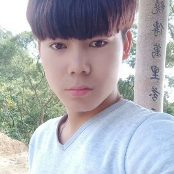 健康那向日葵的照片