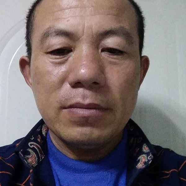 健壮等待红玫瑰的照片