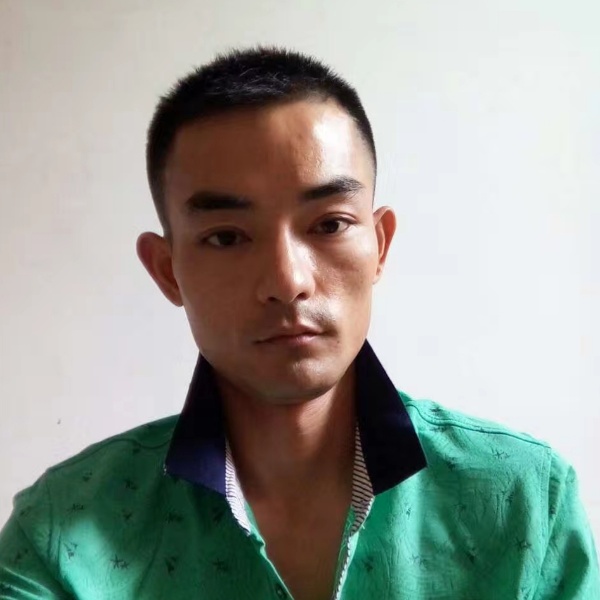 月亮保卫伶俐的照片