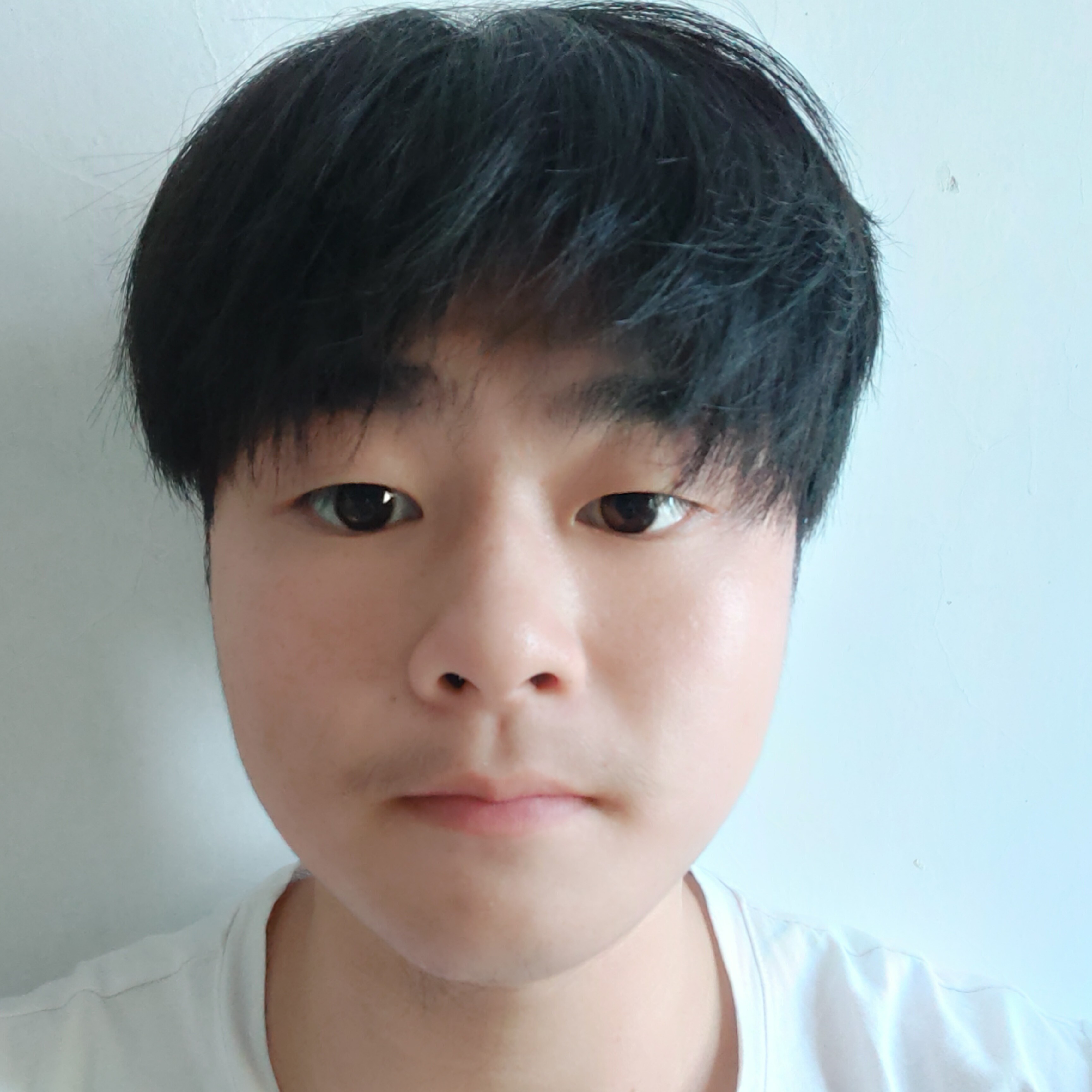 会员469972920的照片