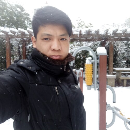 一条搁浅的鱼的照片