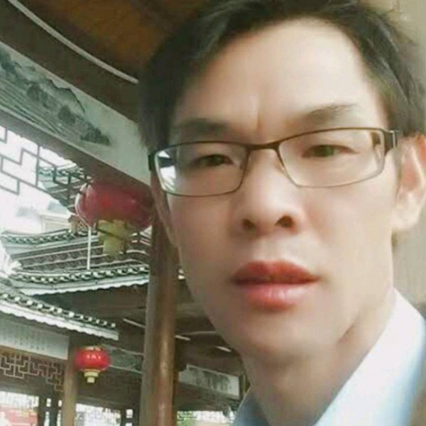 洋葱生动的照片