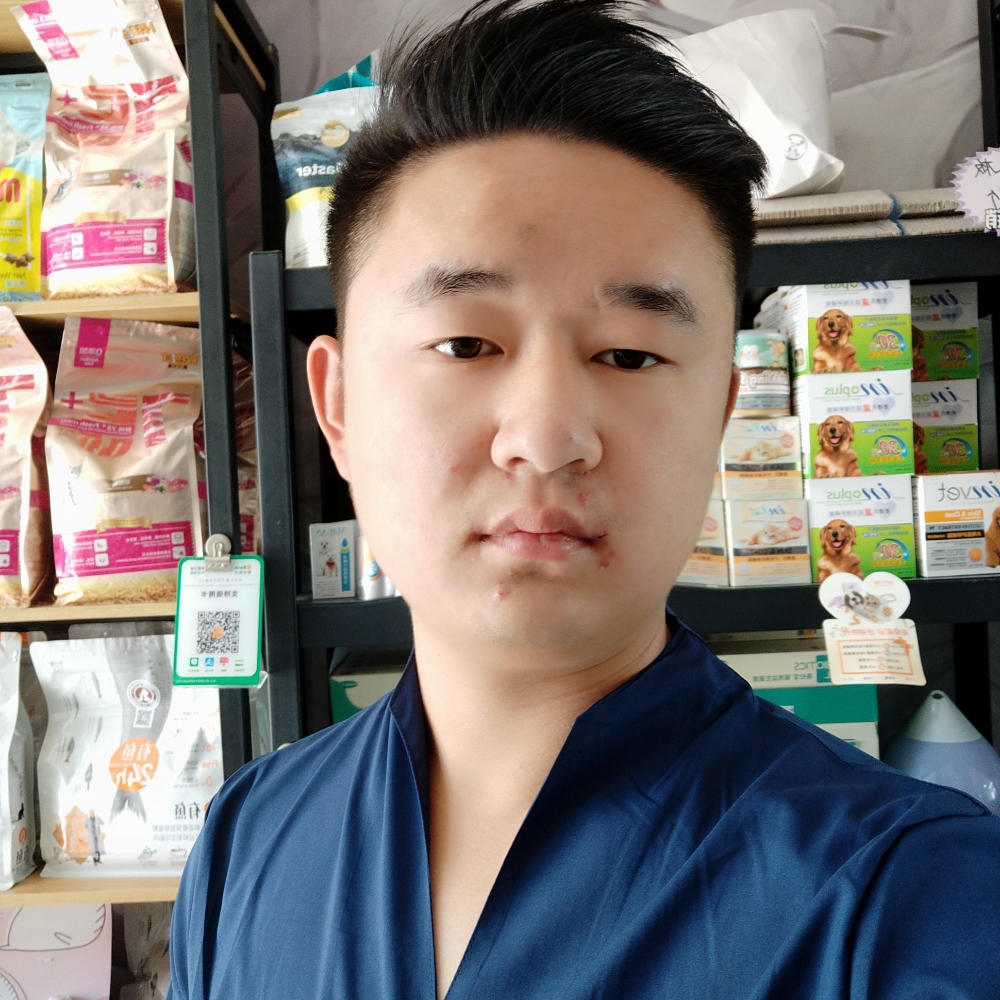 小天鹅感性的照片