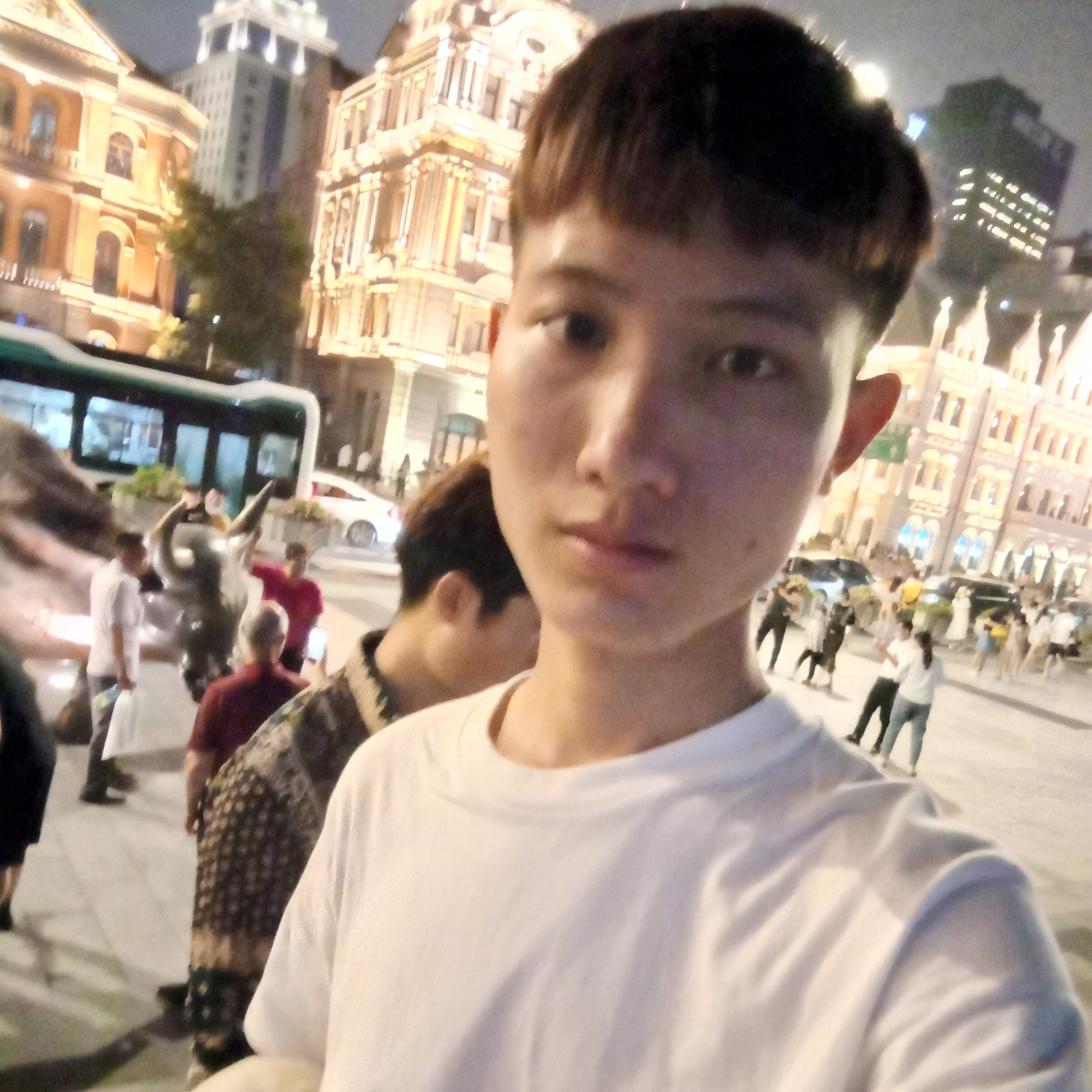 大象糟糕的照片