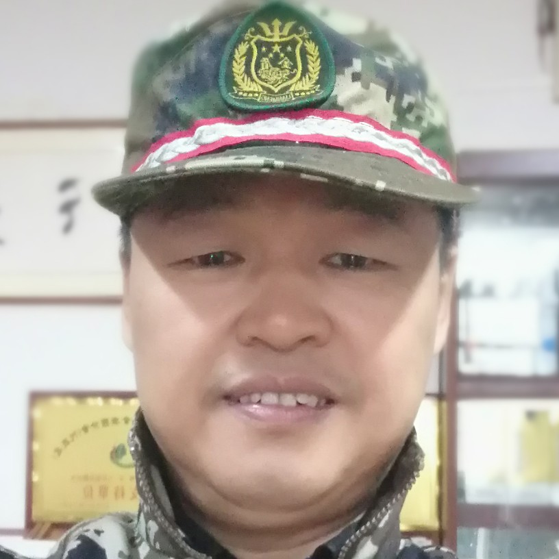 努力的鸭子的照片