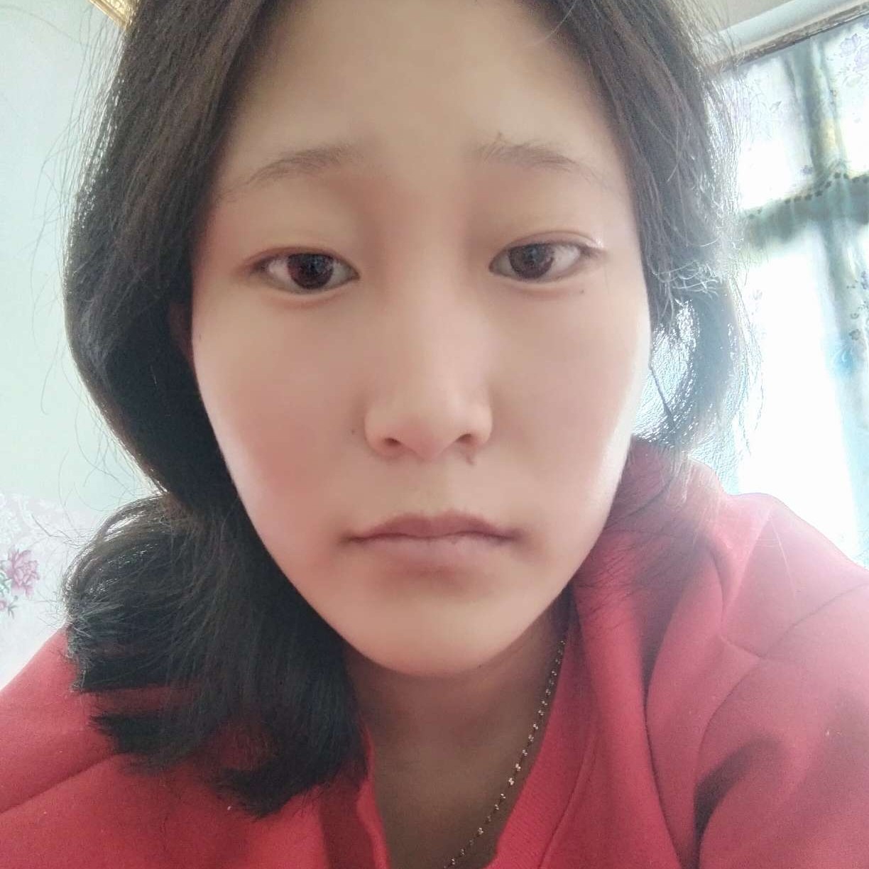 河马停止敏感的照片