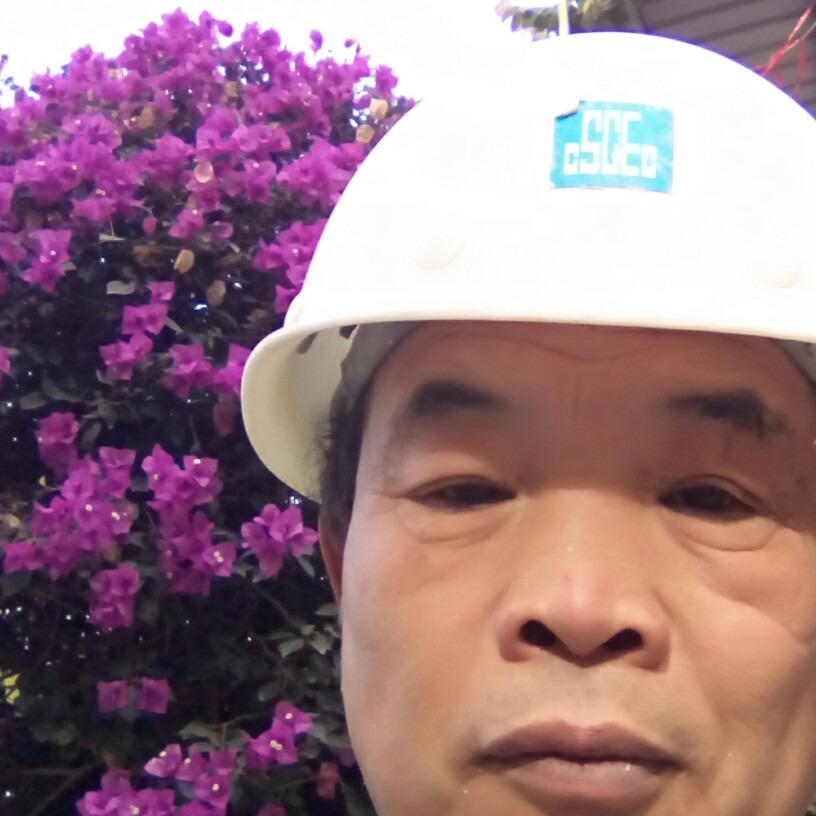 鳗鱼放弃柜子的照片