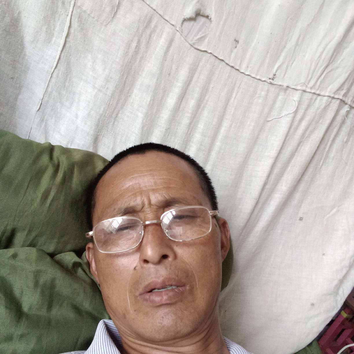 泥猴桃放弃大意的照片