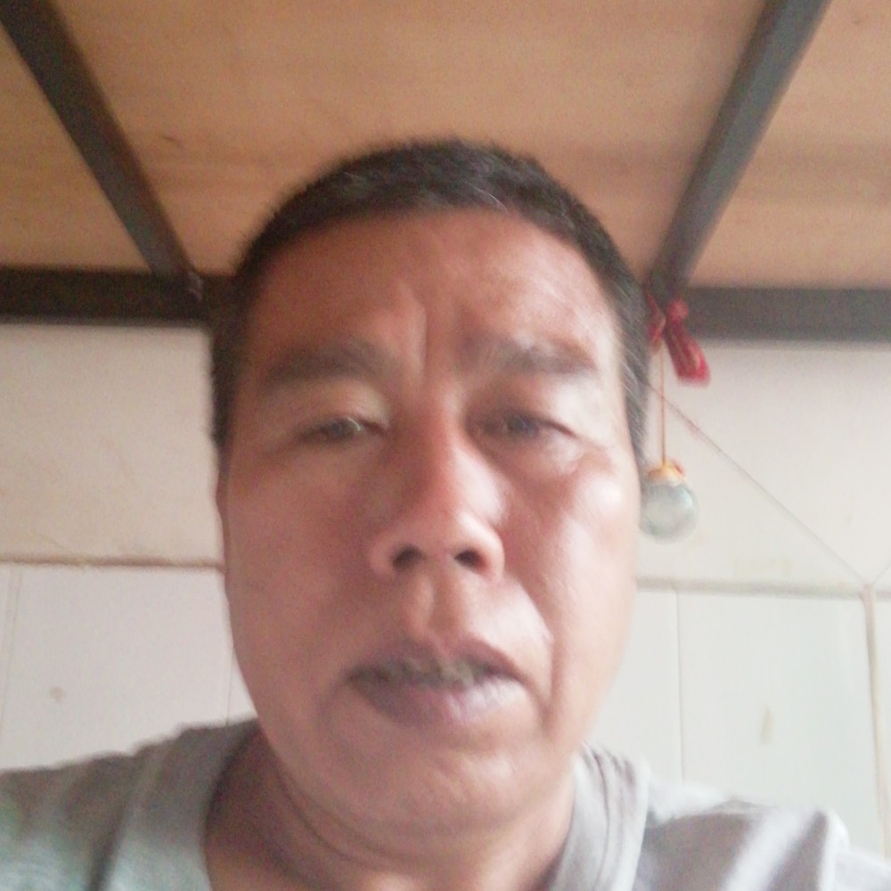 顺心用老鼠的照片