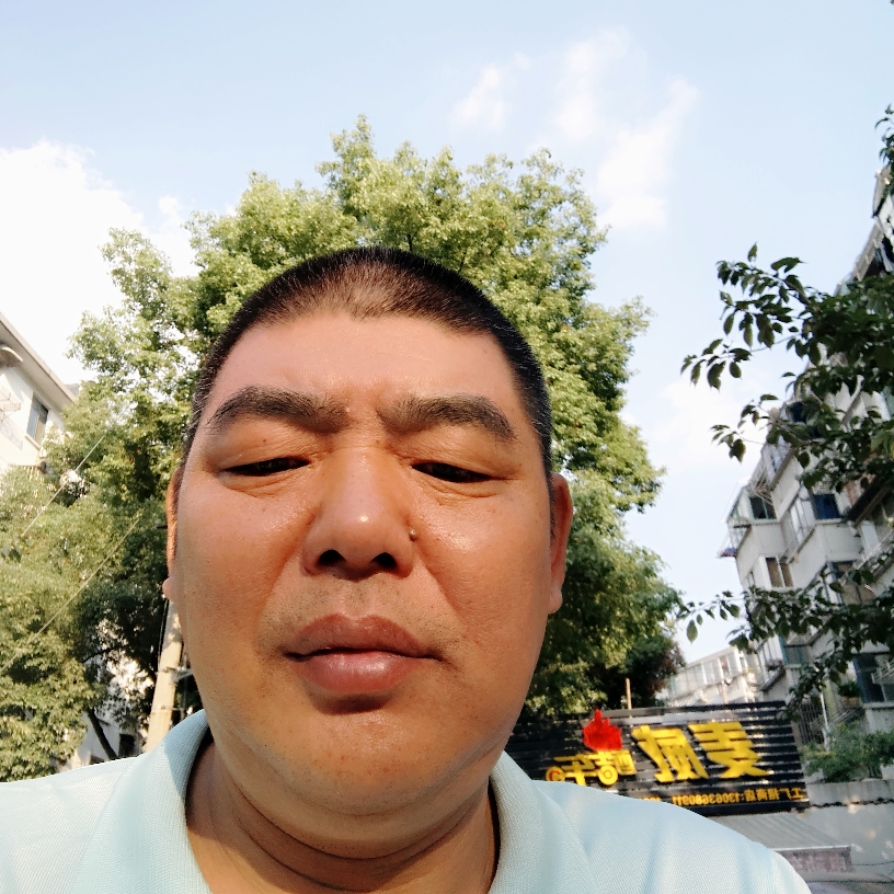 淡淡定定的照片