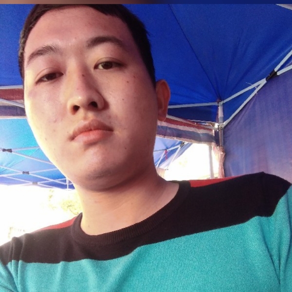 羽毛的活力的照片