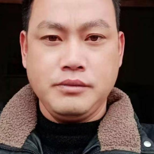 开放凝眸玫瑰的照片