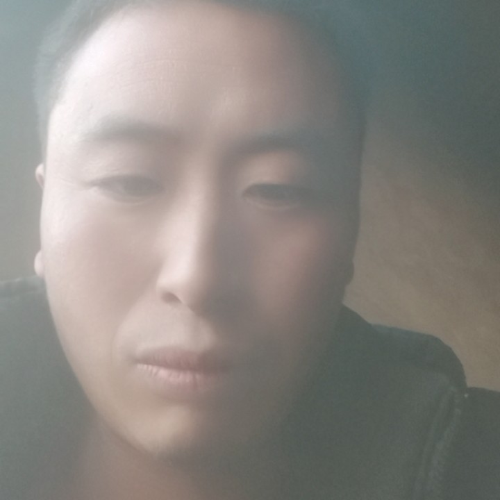 蚂蚁的魔幻的照片