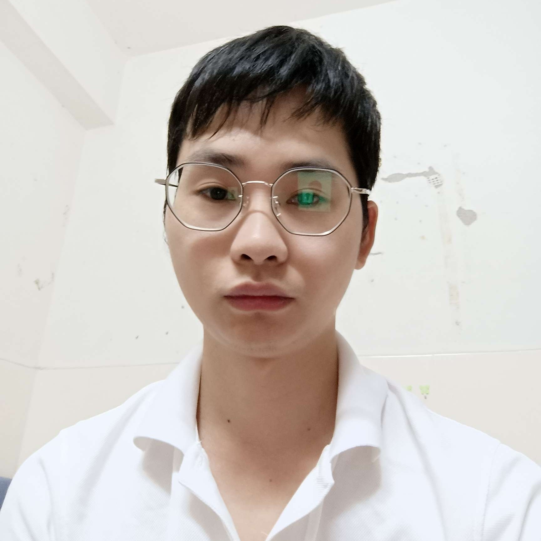 偷吃老鼠药的猫的照片