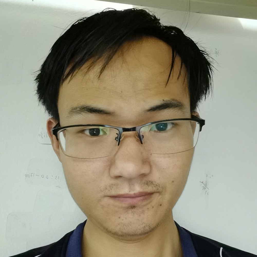 小兔子向迷人的照片