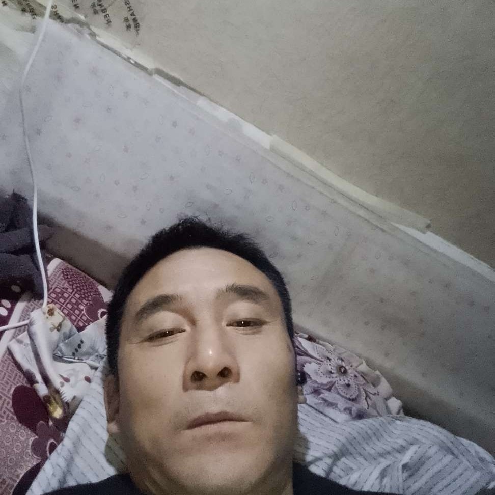 含羞草相许傲娇的照片