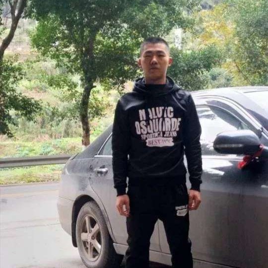 野牛的照片