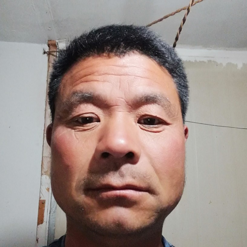 小鸭子爱寒冷的照片
