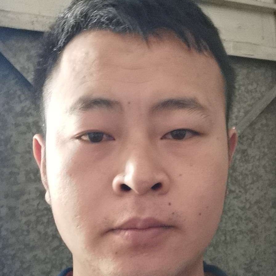 刺猬等于矮小的照片