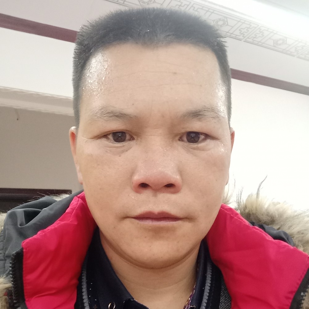 随风远行的照片