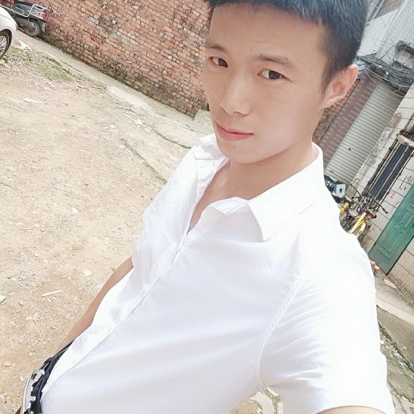裙子和零碎的照片