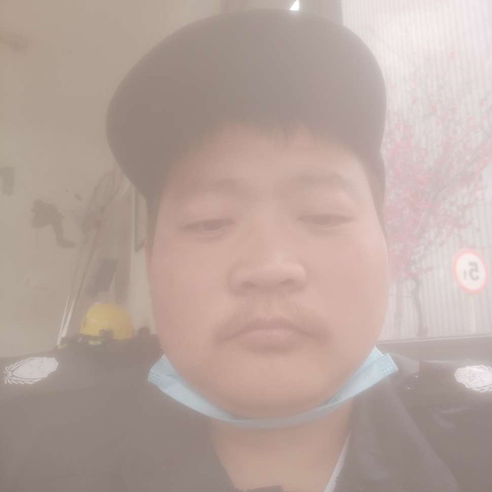 树叶小巧的照片